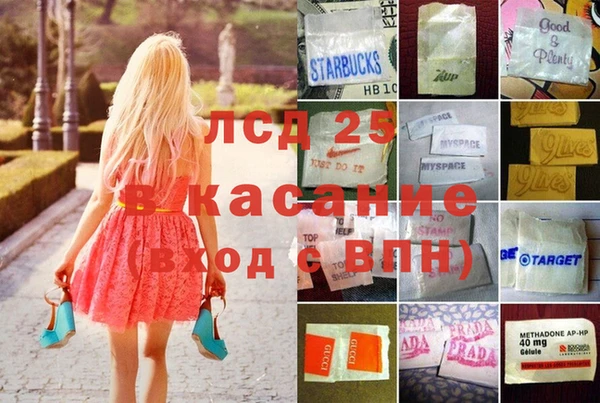 сатива Семикаракорск