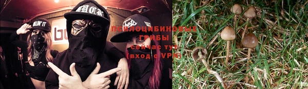 экстази Алексеевка